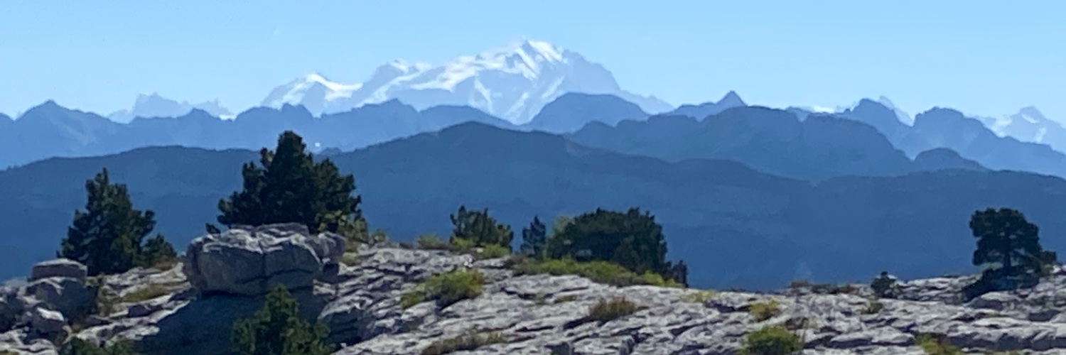 didierrous's profile banner image