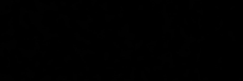 Valentinjoliff's profile banner image