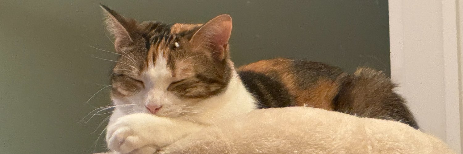 RKTCATS's profile banner image