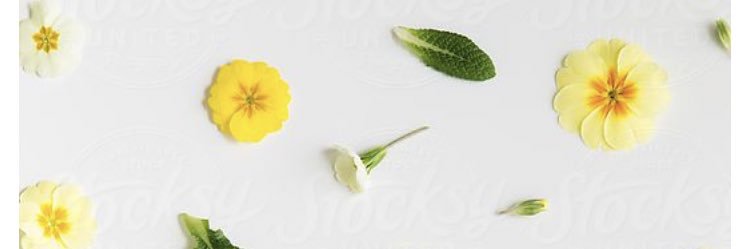 TooShort_Dejaa's profile banner image