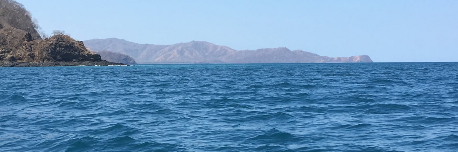 dnking95's profile banner image