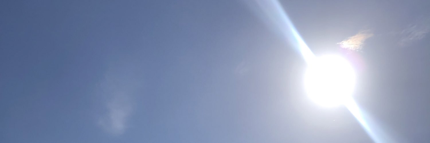 Anouk Burel banner