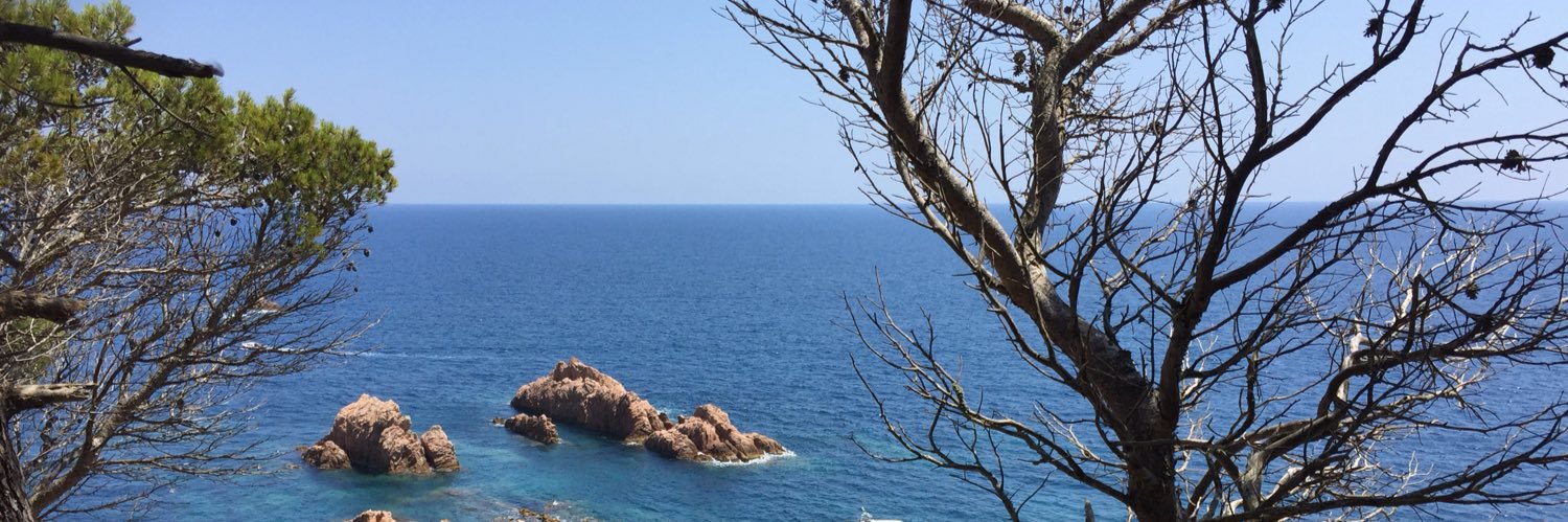 radaje8's profile banner image