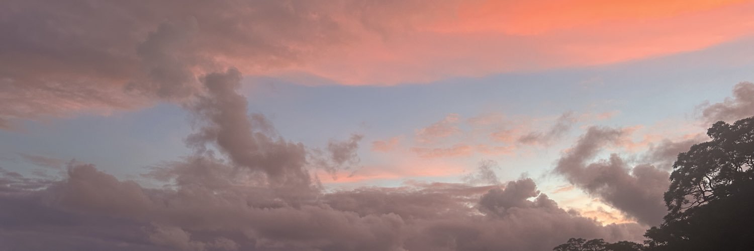 erinnugh's profile banner image
