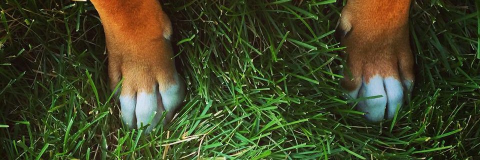 teakaydee's profile banner image