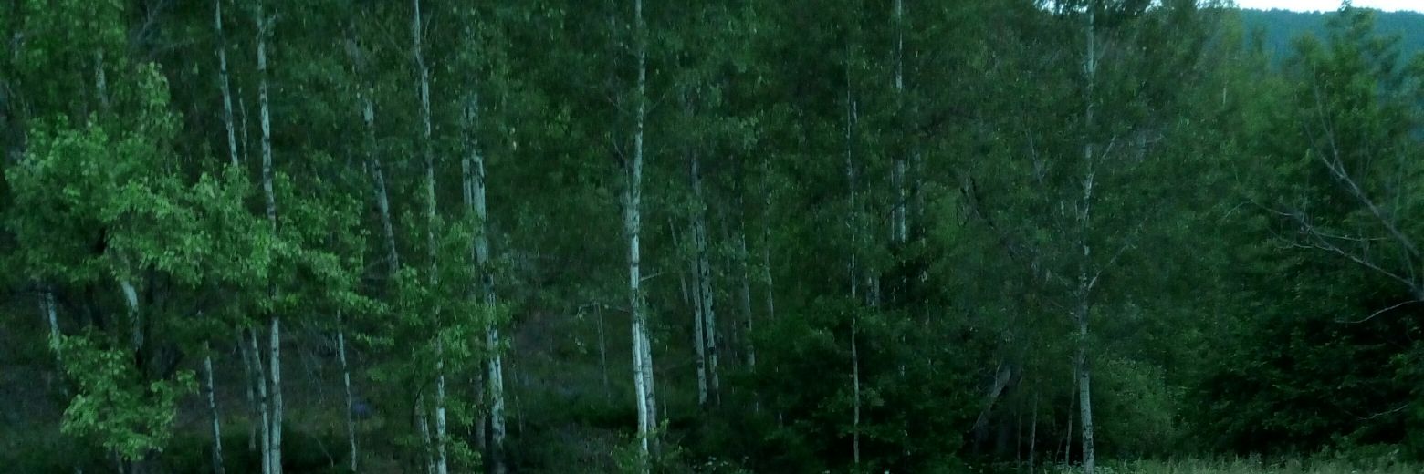 pnrtkl's profile banner image