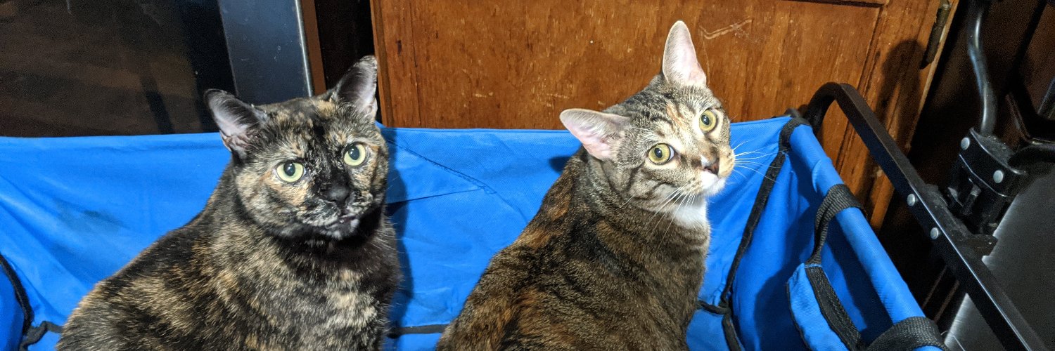 Tazzy6923's profile banner image