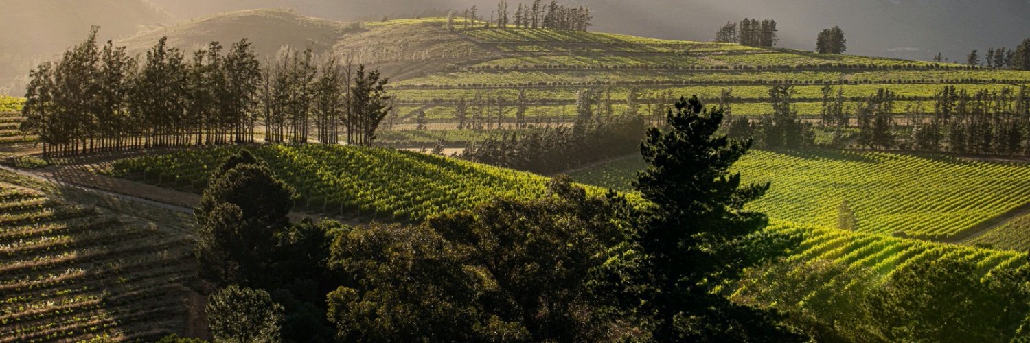 brookdalewine's profile banner image