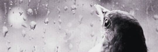 al6362's profile banner image
