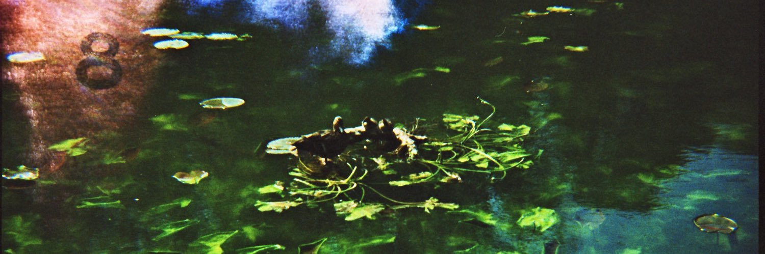 l_imber's profile banner image