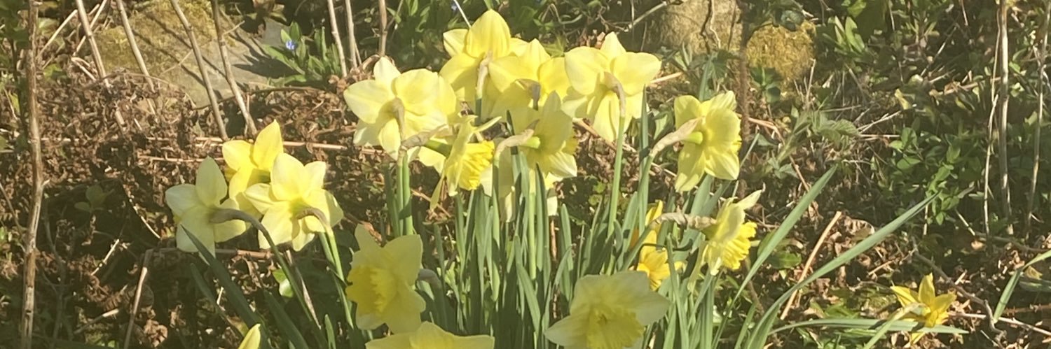 jaynesmith45's profile banner image