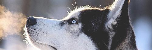DannyEsqueda1's profile banner image