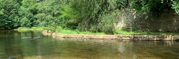 dr_dyb Profile Banner