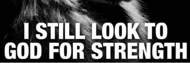 ProPowerlifter's profile banner image
