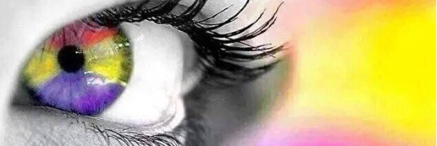 _estoraque's profile banner image