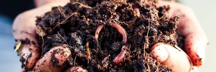 Springfontein Wine Estate banner