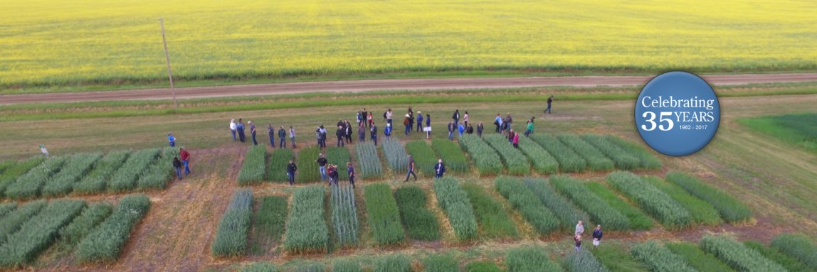 Peace Country Beef & Forage Association banner