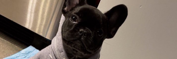 1of1 ™ banner