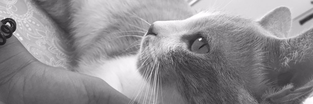 Nuur_b's profile banner image