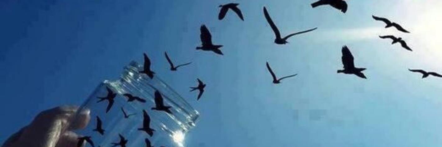 ☆ Becca ♡ banner