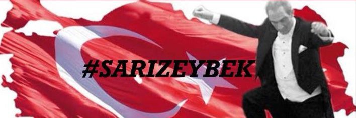 elifeeozkan's profile banner image