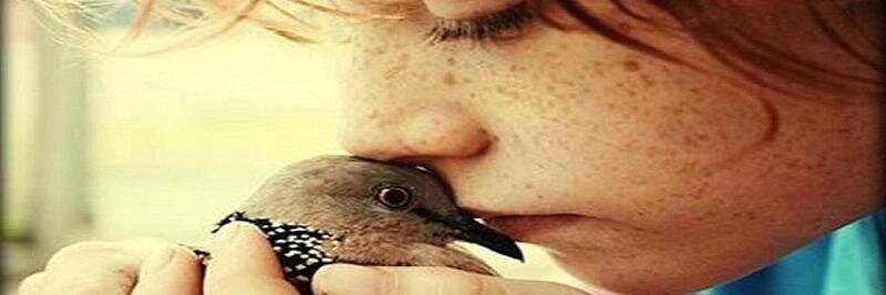 SilenceTalk11's profile banner image