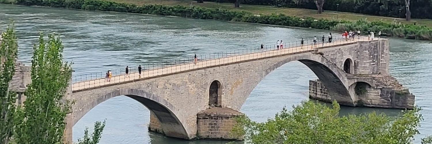 Susan Timoney banner