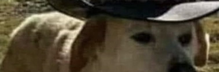 DanitzeHerrera's profile banner image