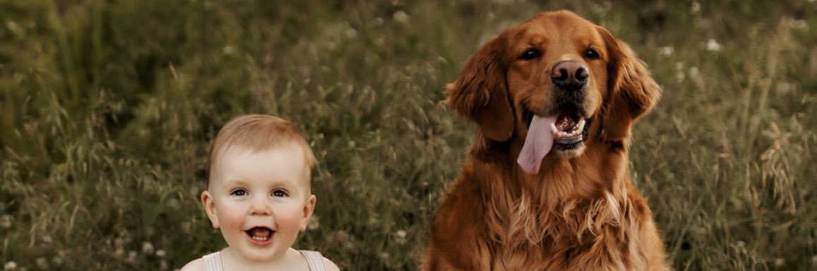 BigDogRuffRuff's profile banner image