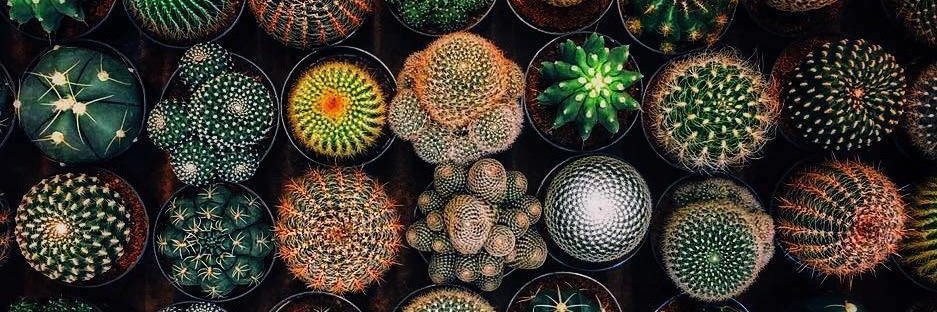 ErikRamirezMX's profile banner image