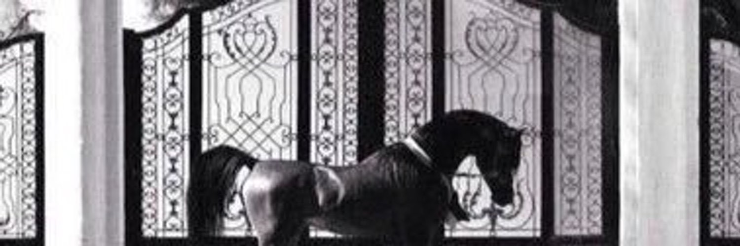 hyoon_555's profile banner image