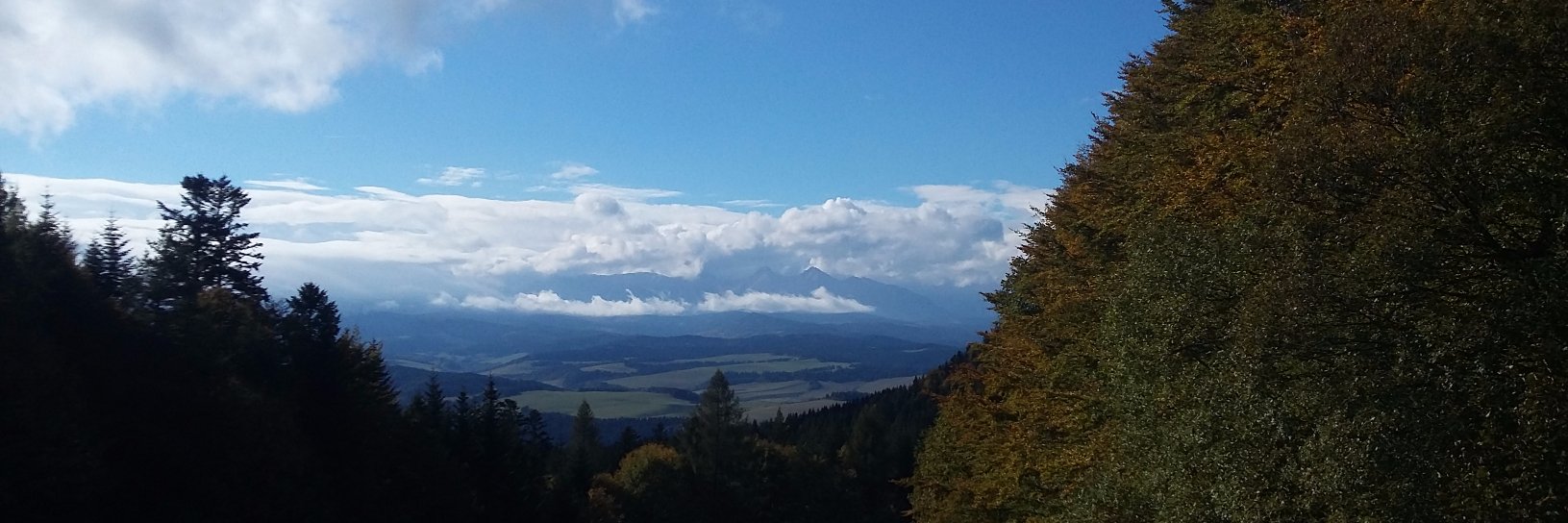 WojtekPater's profile banner image