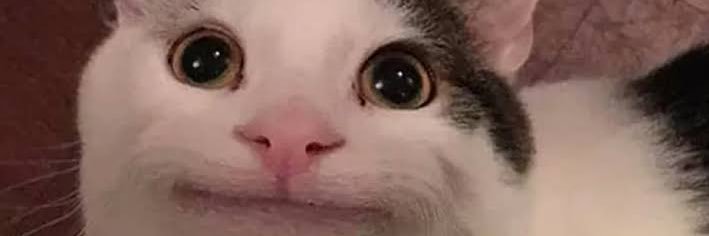 raatttoo's profile banner image