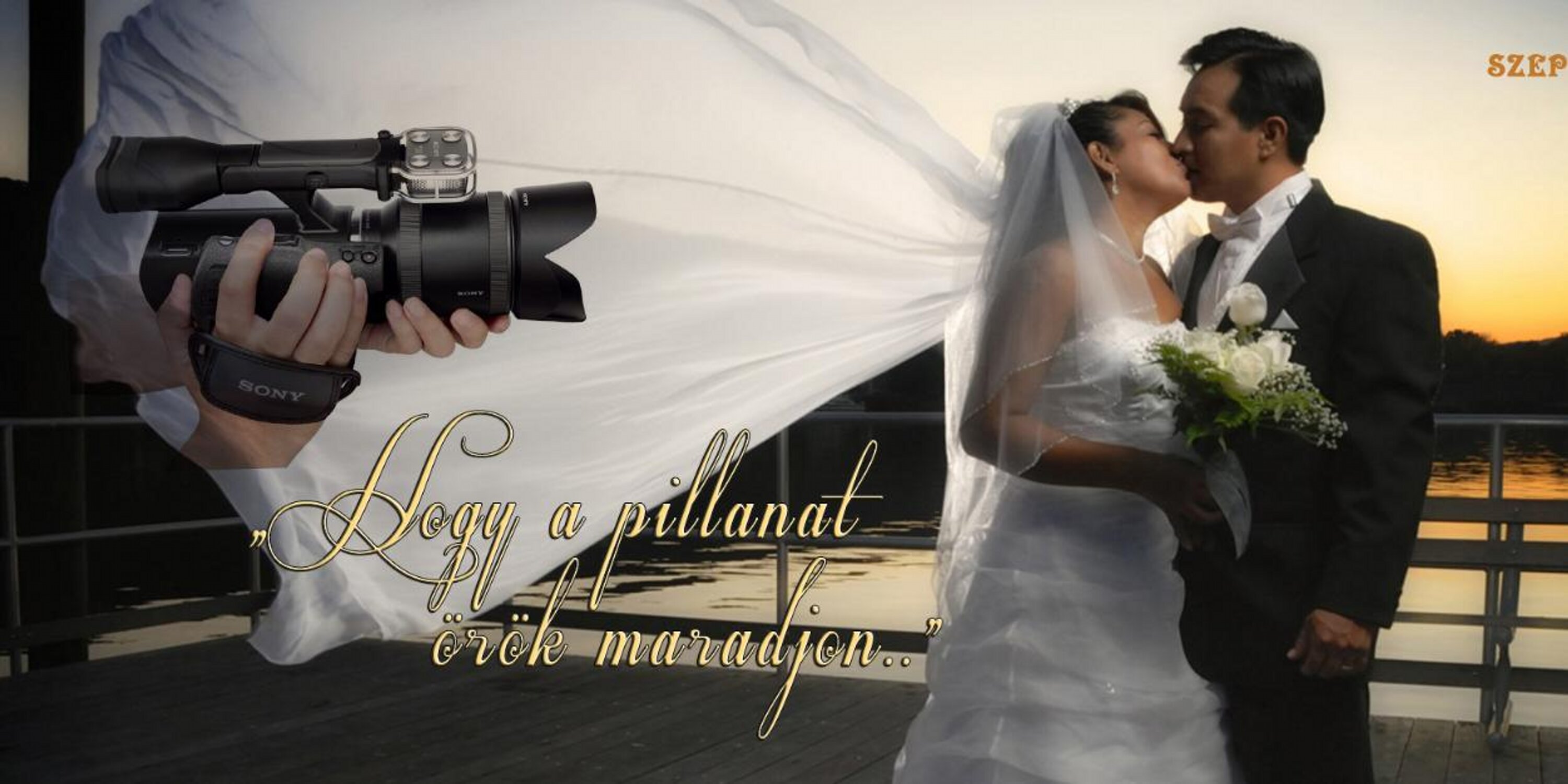 Szepesi László banner