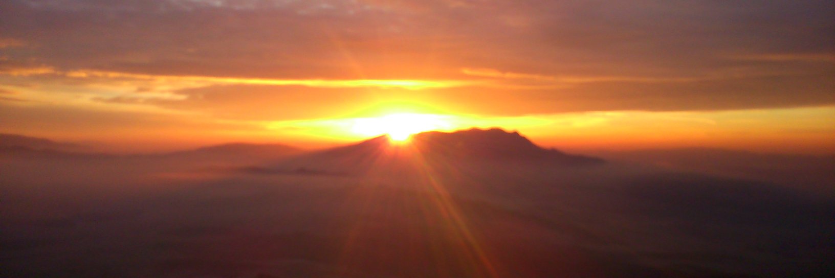 PelulePelulin banner