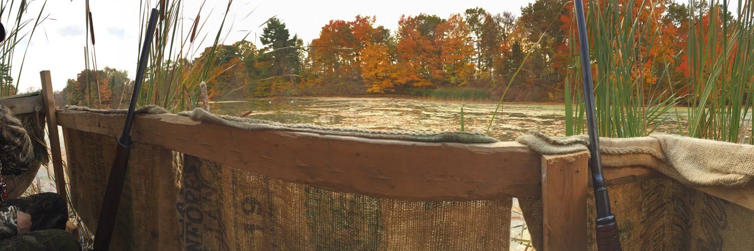 brodysimpson5's profile banner image