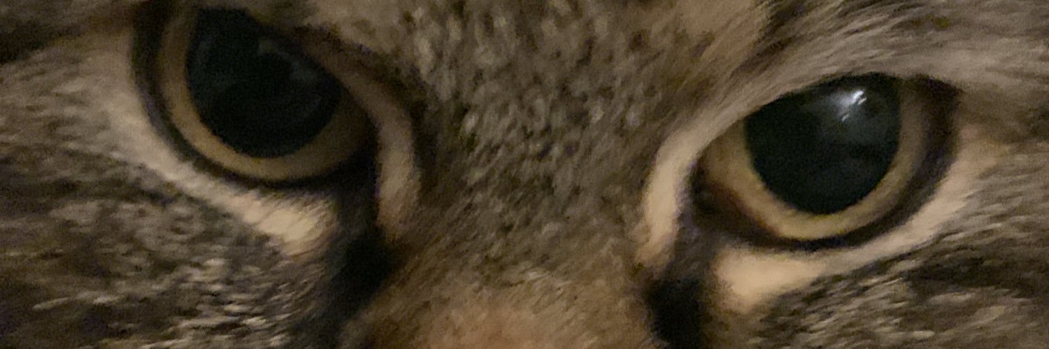 TimTobin2's profile banner image