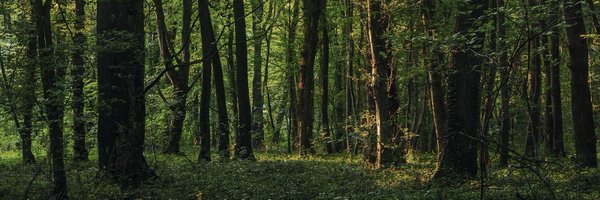 claudtwit Profile Banner