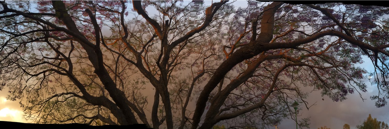 Jorgigle's profile banner image