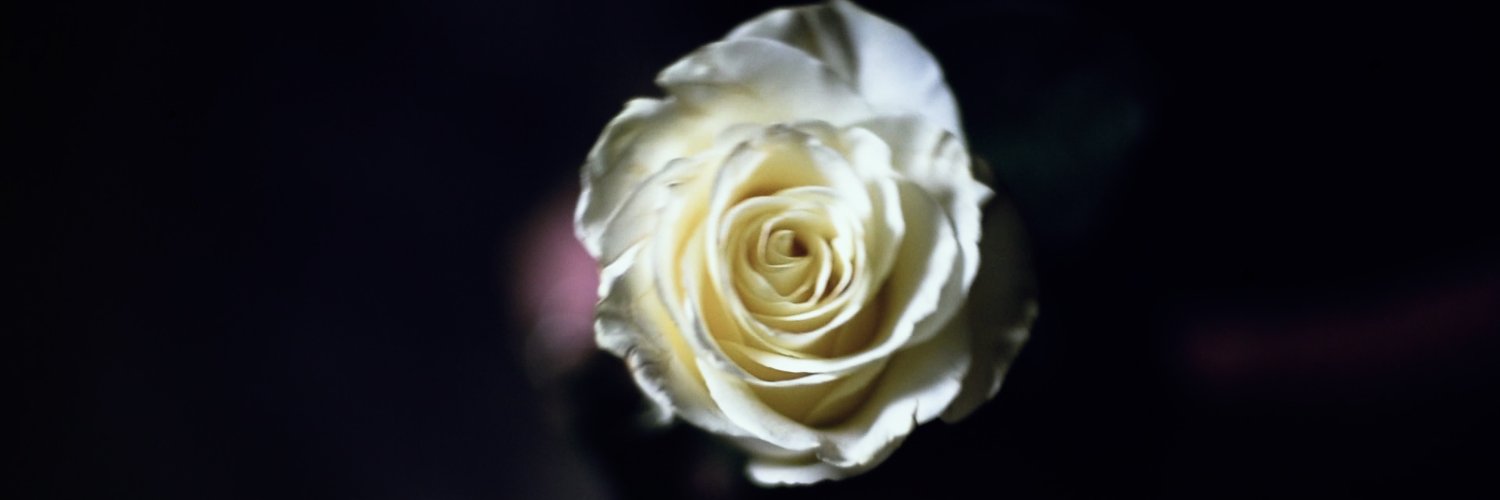 LeftToTheWolves's profile banner image