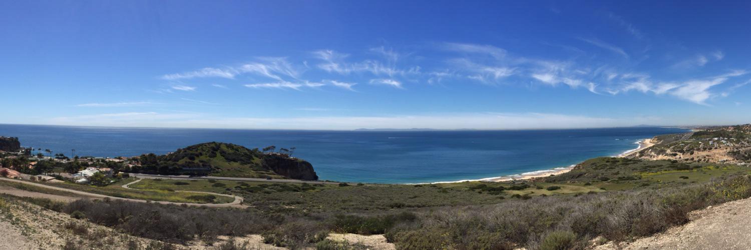 Kaitlin Thulin banner