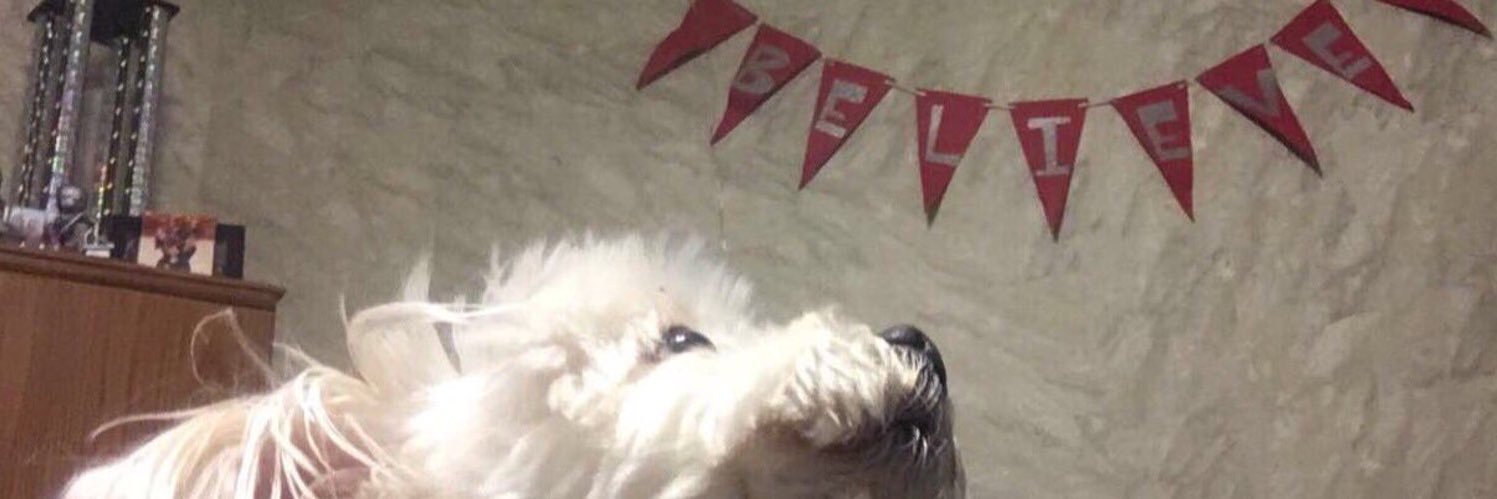 jaelleo17's profile banner image