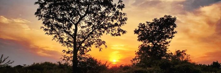 InfluencerTalha's profile banner image
