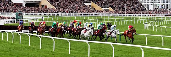 ELITE VALUE HUNTERS banner