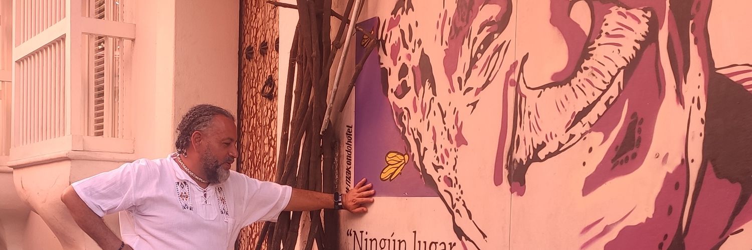 joanchava's profile banner image