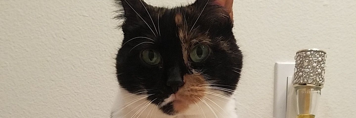 shelbs013's profile banner image