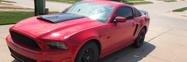 MitchellSeigel Profile Banner