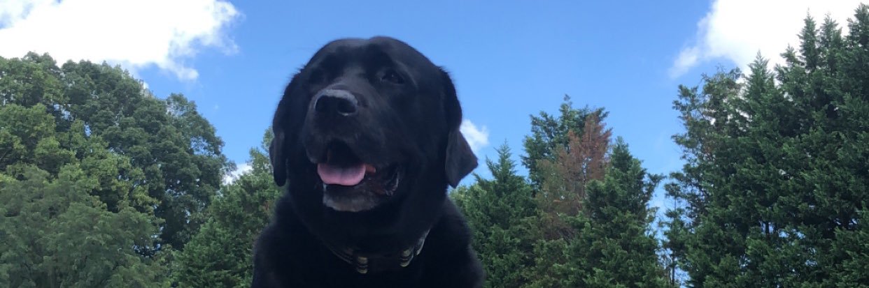 Austin0Campbell's profile banner image