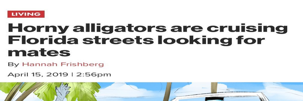 Cherry Bobble banner