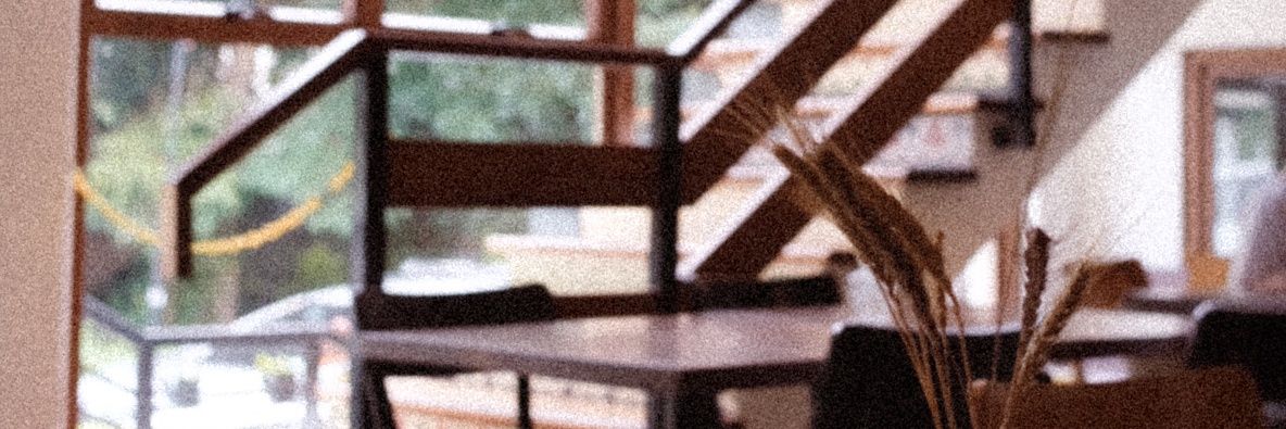 abigaildampog's profile banner image